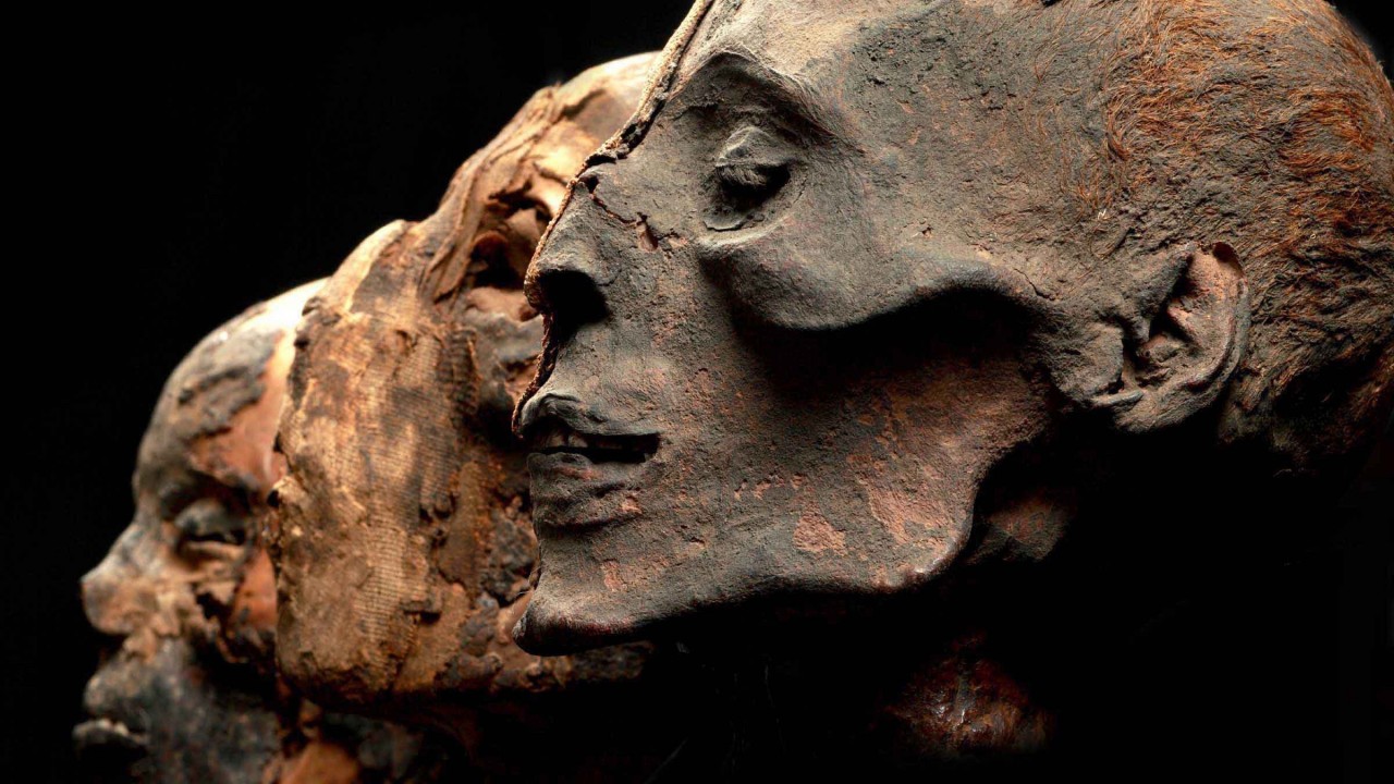Пять археологических находок, перевернувших историю с ног на голову