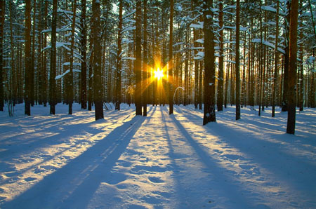 День зимнего солнцестояния: традиции, обычаи и приметы