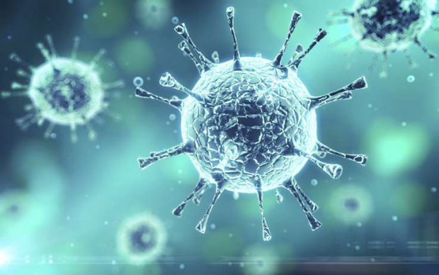 Эпидемии гриппа - есть ли закономерность в размещении?

