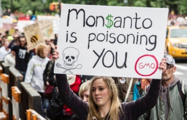 Протест против ГМО: «Monsanto» травит вас».