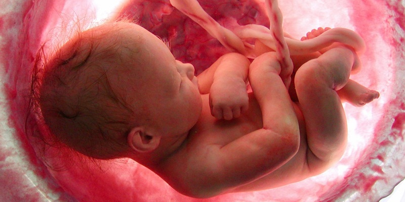 Борьба с абортами дает свои плоды: статистика
