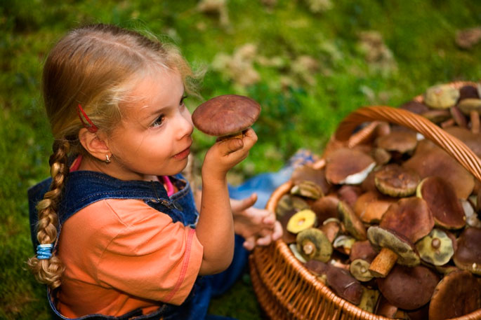 Новое исследование говорит об удивительных свойствах грибов
