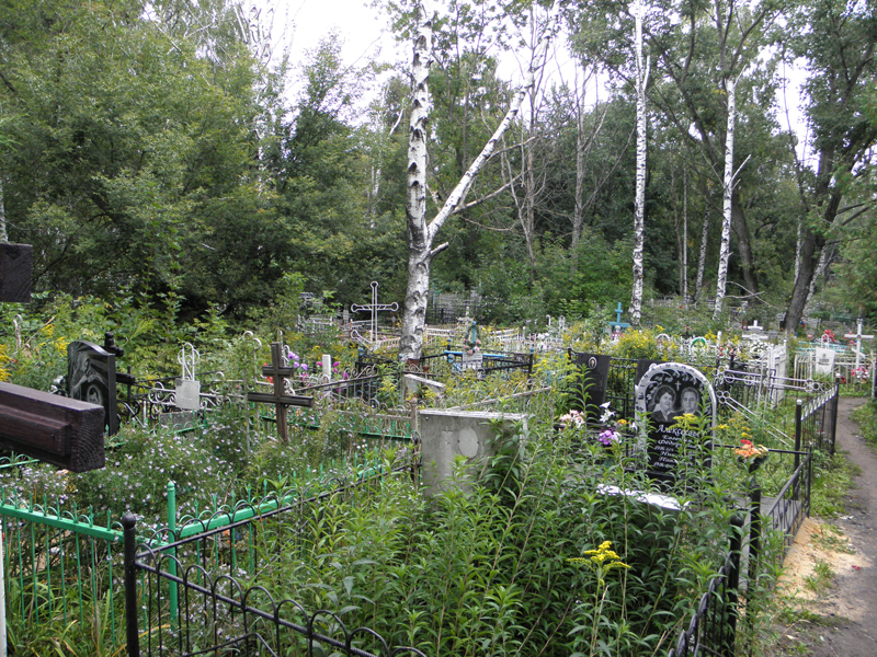 Идею Сенкевича о захоронении новых покойников в старых могилах воплотят в жизнь: грядет рекультивация

