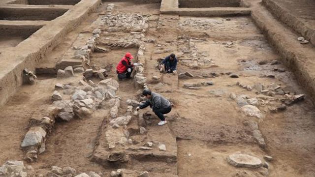 В Китае найдены останки древних двухметровых гигантов
