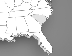 Зарегистрирован законопроект об отделении Южной Каролины от США
