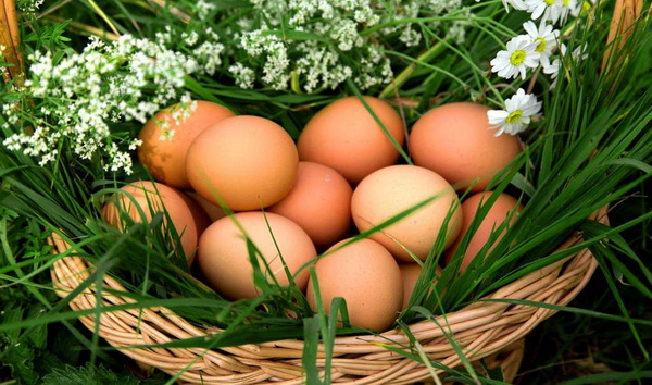 Интересные факты о курином яйце
